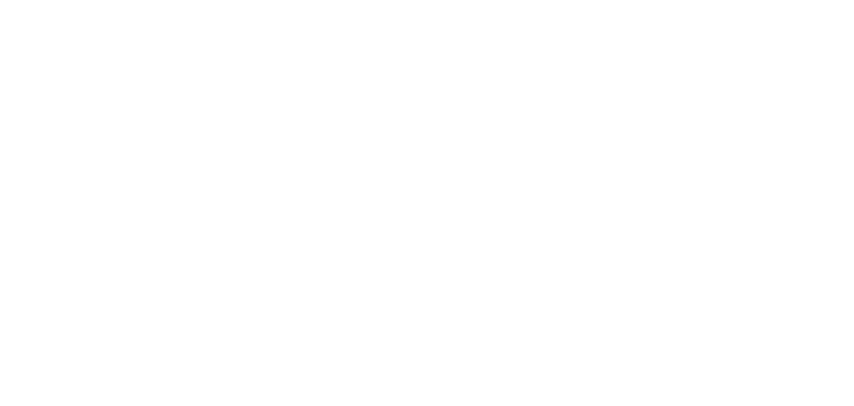 Flyd